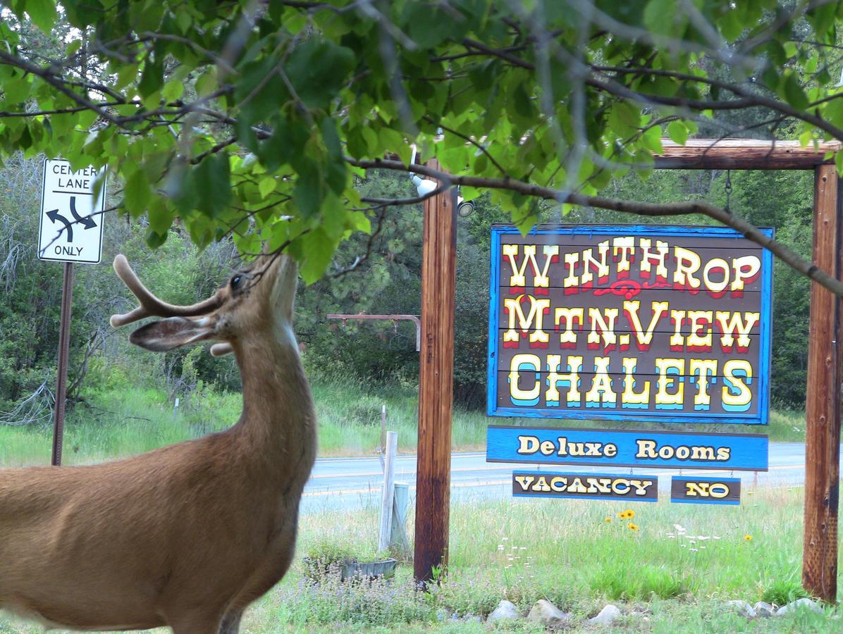 Winthrop Mountain View Chalets Kültér fotó