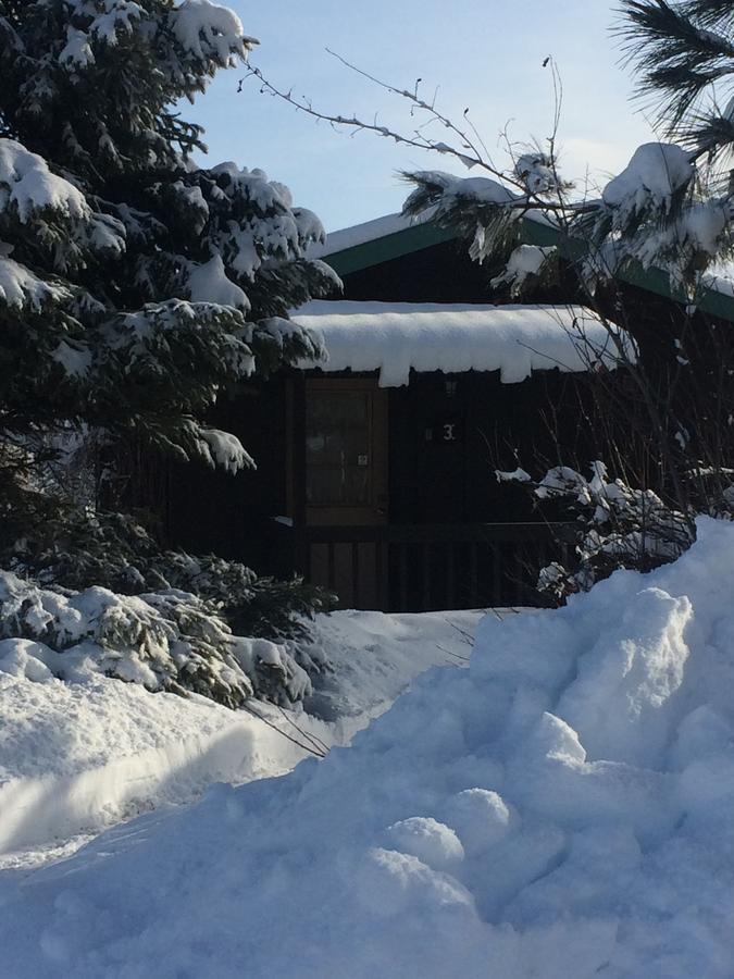 Winthrop Mountain View Chalets Kültér fotó